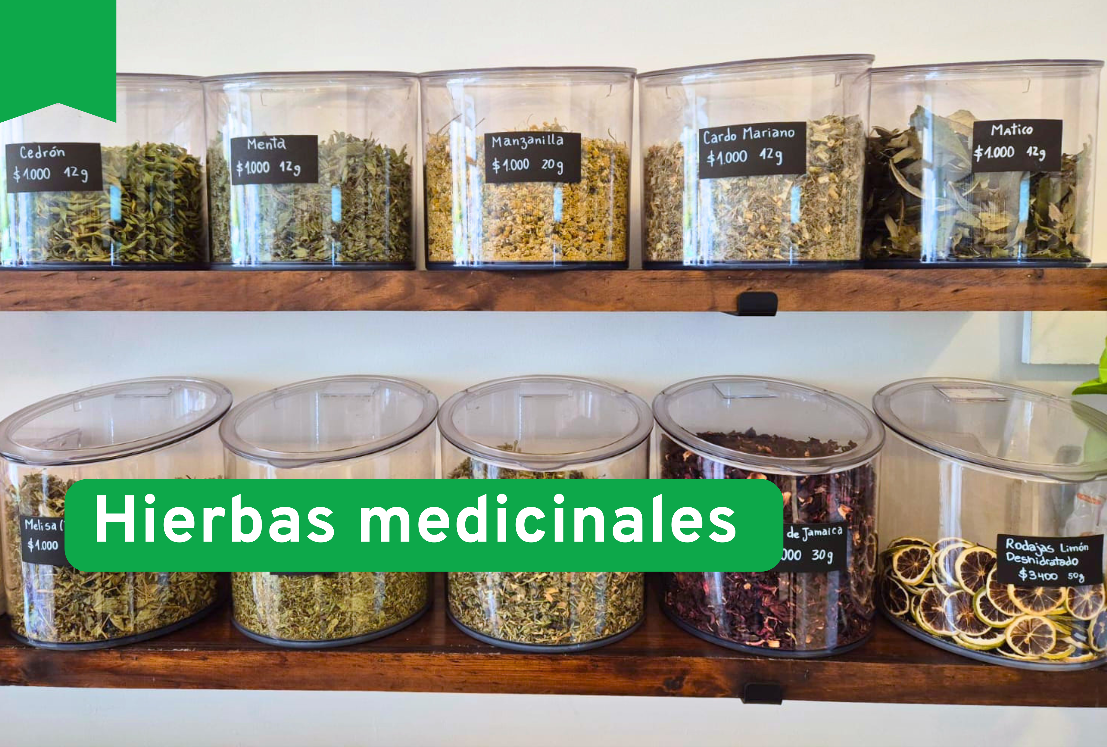 Hierbas Medicinales