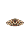 Quinoa Tricolor