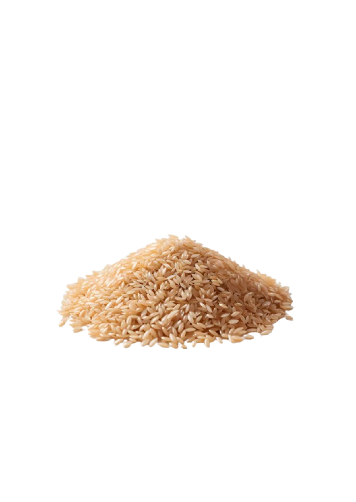 Arroz integral