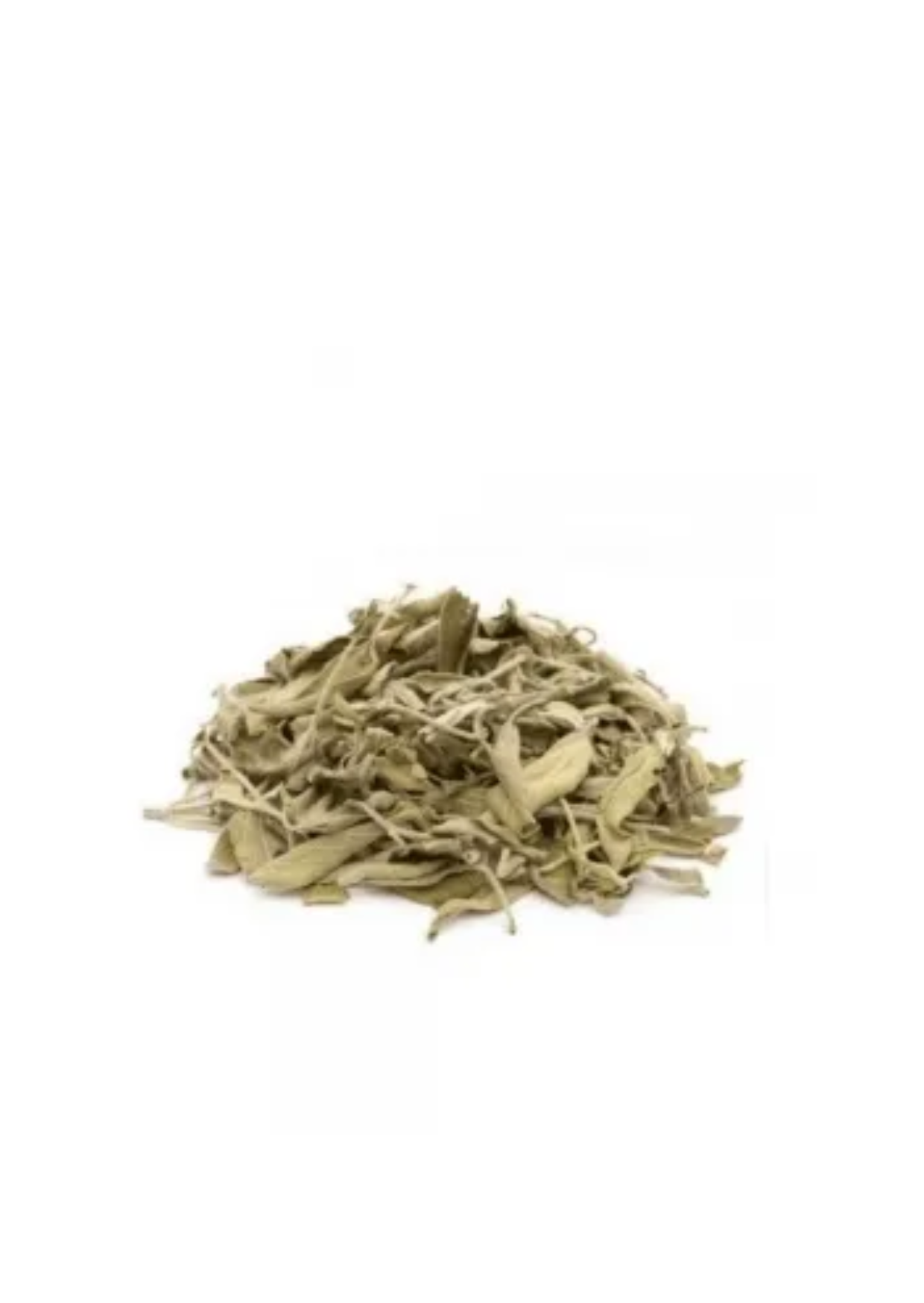 Salvia