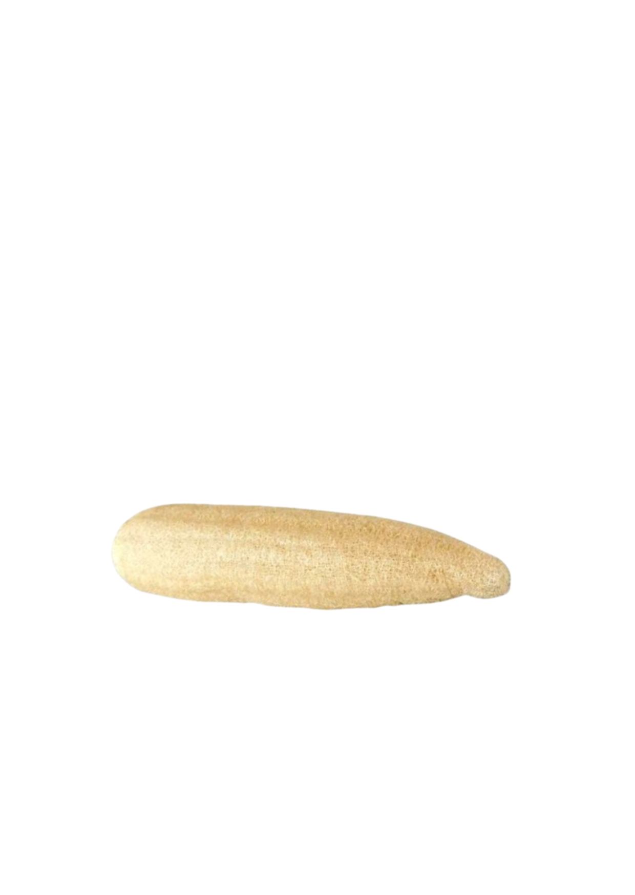 Luffa- Esponja 100%  biodegradable